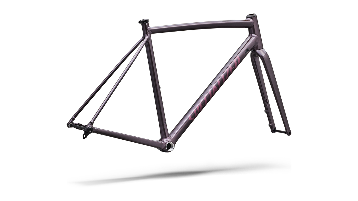 Crux DSW Frameset rear triangle detail, Gloss Nebula Metallic