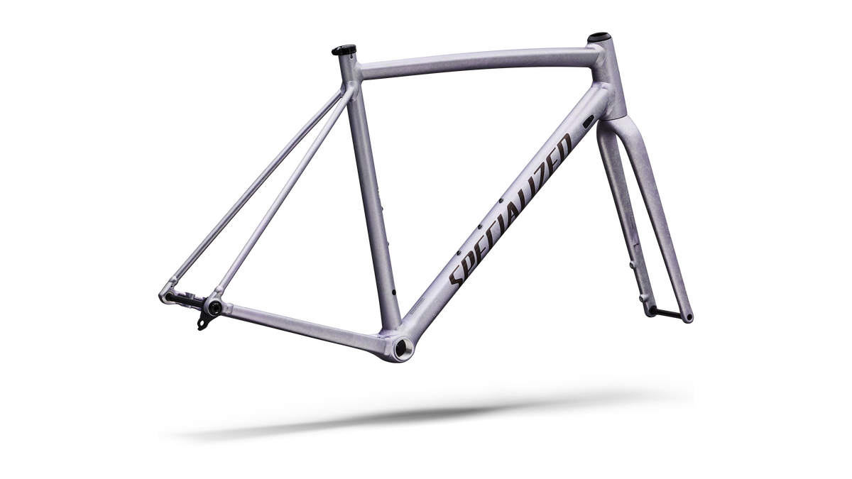 Crux DSW Frameset rear triangle detail, Silver Dust